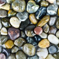Galashield River Rocks Polished Pebbles Decorative Stones Natural Aquarium Gravel (2 lb Bag)