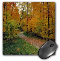 3dRose LLC 8 x 8 x 0.25 Inches Minnesota ITAS California State Park Bike Path Peter Hawkins Mouse Pad (mp_91411_1)