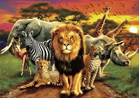 Buffalo Games - Amazing Nature Collection - African Beasts - 500 Piece Jigsaw Puzzle