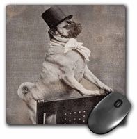 3dRose LLC 8 x 8 x 0.25 Inches Mouse Pad, Pug in Top Hat Sepia Tone (mp_6776_1)