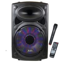 EMB Wireless Portable PA Speaker System-1700W High Powered Bluetooth Compatible Indoor & Outdoor DJ Sound Stereo Loudspeaker w/USB SD MP3 AUX 3.5mm Input, Flashing Party Light (PKL15-2ND)