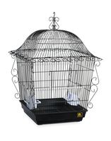 Prevue Pet Products Jumbo Scrollwork Bird Cage 220BLK Black, 18-Inch by 18-Inch by 25-Inch