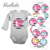 12 Monthly Baby Stickers, Hearts, Girl, Baby Month Stickers Girl, Baby Book Keepsake, Baby Shower Gift