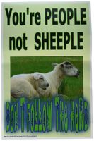 Poster #212 Middle School, High School Poster, Social Skills Poster