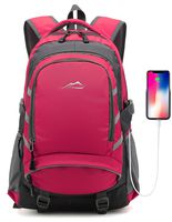 Backpack for School College Student Travel Business Bookbag with USB Charging Port Fit 15.6 inch Laptop Night Light Reflective Chest Luggage Straps (Pink)
