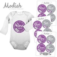 12 Monthly Baby Stickers, Purple, Gray, Flowers, Girl, Baby Belly Stickers, Baby Month Stickers, First Year Stickers Months 1-12, Purple, Grey, Baby Girl