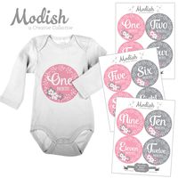 12 Monthly Baby Stickers, Pink & Gray, Flowers, Girl, Baby Belly Stickers, Baby Month Stickers, First Year Stickers Months 1-12, Pink, Grey, Baby Girl