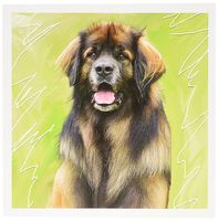3dRose Leonberger - Greeting Cards, 6 x 6 inches, set of 6 (gc_4500_1)