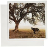 Western Sepia Toned Horse on a Ranch with an Oak Tree - Greeting Cards, 6 x 6 inches, set of 6 (gc_202972_1)