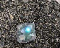 Ghost Detector Ghost Rock BAKETAN Kai