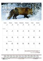 House of Doolittle 2017 Monthly Wall Calendar, Earthscapes Wildlife, 12 x 16.5" (HOD3732-17)