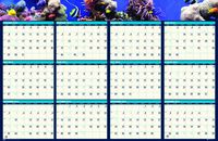 House of Doolittle Earthscapes Sea Life Reversible Write-On/Wipe-Off Wall Planner, January 2014 to December 2014, 24 x 37 Inches, Recycled (HOD3969)