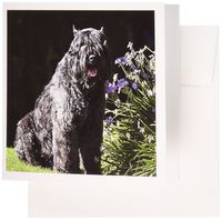 3dRose Bouvier des Flandres dog in a garden - US05 ZMU0014 - Zandria Muench Beraldo - Greeting Cards, 6 x 6 inches, set of 12 (gc_88756_2)