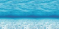 Fadeless Bulletin Board Art Paper, Under The Sea, 48" x 12', 1 Roll