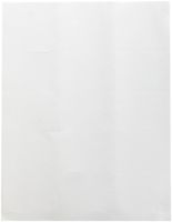 Compulabel 311501 White 3 1/2 No-Wrap Floppy Labels for Laser and Inkjet Printers, 2 11/16 x 2 Inch, Permanent Adhesive, 15 per Sheet, 100 Sheets per Carton