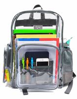 LYTek Clear Heavy Duty Backpack (Medium, Gray)