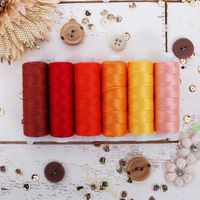 Threadart 6 Color Pearl Cotton Thread Set Sunrise Shades | 75yd Spools Size 8 | Perle Cotton for Friendship Bracelets, Crochet, Cross Stitch, Needlepoint, Hand Embroidery | 6 Sunrise Shades