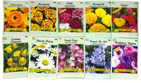 Set of 50 Flower Seed Packets! Flower Seeds in Bulk, 15 or More Varieties Available!