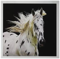 3dRose Beautiful Appaloosa Horse Greeting Cards, 6" x 6", Set of 12 (gc_80678_2)