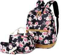 Canvas Backpack School Bag Student Backpack Set College Womens Laptop Backpack with USB Charging Port 15.6 inch Laptop with rain Cover (Red)