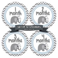 Months in Motion Baby Monthly Stickers - Baby Milestone Stickers - Newborn Boy Stickers - Month Stickers for Baby Boy - Baby Boy Stickers - Newborn Monthly Milestone Stickers