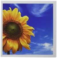 3dRose Giant Sunflower Against The Blue Sky - Greeting Cards, 6 x 6 inches, set of 12 (gc_56906_2)