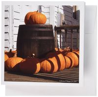 3dRose Fall in Viriginia - Greeting Cards, 6 x 6 inches, set of 12 (gc_17366_2)