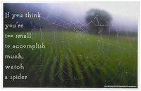 Youth Change Workshops Self-Esteem, Motivational Inspirational Poster & gt (Poster #588)