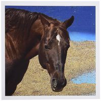 3dRose Quarter Horse - Greeting Cards, 6 x 6 inches, set of 12 (gc_4597_2)