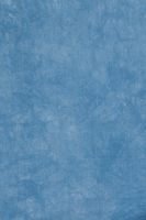 Backdrop Alley Blue Crush Muslin Photo Background, 10' x 12'