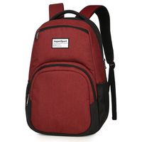 ASPENSPORT School Backpack fit 15.6 inch Laptop - Water Repellent Lightweight Durable - Casual Daypack with Bottle Side pockets 20L Burgundy