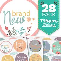Baby Month & Milestone Stickers - 28 Pack - Baby Girl Onesie Belly Stickers. Includes 12 Monthly, 1st Year milestones & First Holidays. Perfect Baby Shower & Newborn Birthday Gift. (Floral)