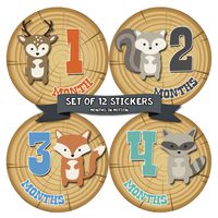 Months In Motion Monthly Baby Milestone Stickers for Boy - Onesie Month Sticker - Infant Photo Prop for First Year - Shower Gift - Newborn Keepsakes - Woodland Animals (Style 809)