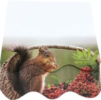 4A 3D Shape Printed Sticky Notes,Cute Designs,Printed With Snow Ground Squirrel,Self-Stick Notes,3.75 x 4.13 Inches,100 Sheets/Pad,1 Pad/Pack,4A 8079