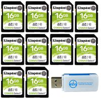 Kingston 16GB SD Memory Card (10 Pack Bundle) Canvas Select SDHC Card Class 10 UHS-1 (SDS/16GB) Plus (1) Everything But Stromboli (TM) SD & Micro Card Reader