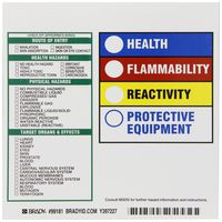 Brady 99181 Hmig Target Organ Labels (Reactivity)  (100 Labels per Package)