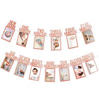 Whaline 1st Birthday Baby Photo Banner for Newborn to 12 Months, Monthly Milestone Photograph Bunting Garland, First Birthday Celebration Decoration (Rose Gold)