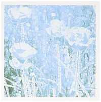 3dRose Turquoise Poppies Floral Art Greeting Cards, Set of 6 (gc_26180_1)