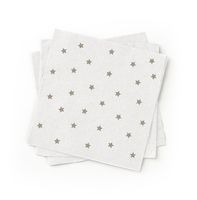 Susty Party SPNPCTGRY 100-Percent Recycled Paper Cocktail Napkin, Grey, 200-Pack