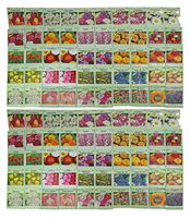 Set of 100 Assorted Valley Green Flower Seed Packets! Flower Seeds in Bulk - 20+ Varieties Included