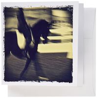 3dRose Dressage Abstract By Angelandspot - Greeting Cards, 6 x 6 inches, set of 12 (gc_108194_2)
