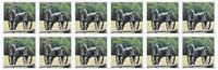 3dRose Civil War cannon Greeting Cards, 6" x 6", Set of 12 (gc_43816_2)