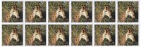3dRose South African Giraffe headface - Greeting Cards, 6 x 6 inches, set of 12 (gc_20122_2)