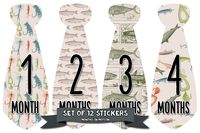 Months In Motion Monthly Baby Tie Stickers - Boy Month Milestone Necktie Sticker - Onesie Month Sticker - Infant Photo Prop for First Year - Shower Gift - Newborn Keepsakes - Fish Fishing