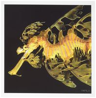 3dRose A leafy seadragon, Phycodurus eques, Esperance, Western Australia - Greeting Cards, 6 x 6 inches, set of 6 (gc_46222_1)