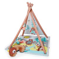 Skip Hop Baby Infant and Toddler Camping Cubs Activity Gym and Playmat, Multi