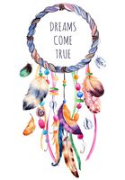 Divine Designs Dreams Come True Pretty Dream Catcher with Rainbow Feathers Vinyl Decal Sticker (4")