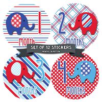 Baby Month Stickers for Boy - 12 Monthly Milestone Stickers - Baby Monthly Stickers for Infant First Year - Infant First Year Photo Prop (Style 1031)