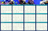House of Doolittle Earthscapes Sea Life Reversible Write-On/Wipe-Off Wall Planner January 2013 to December 2013 24 x 37 Inches Recycled (HOD3969)