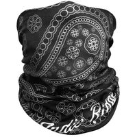 Paisley Outdoor Motorcycle Face Mask By Indie Ridge - Ski Snowboard Mask Seamless Headwear